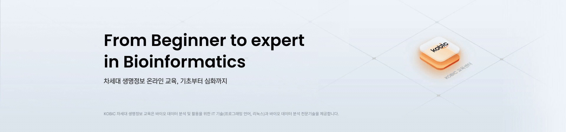 메인 상단 배너